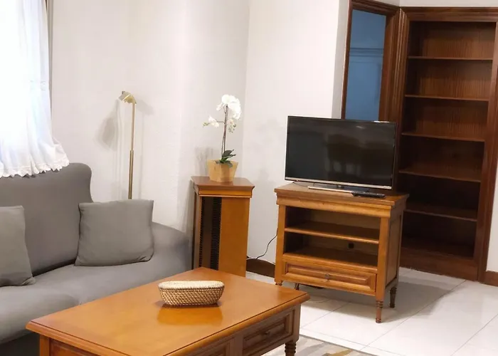 Clasico Y Funcional Vivienda Turistica Centro * Bilbao
